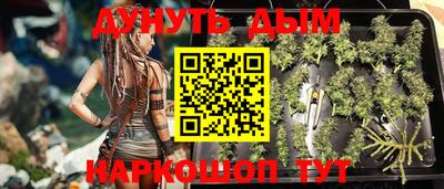 дмт Донской
