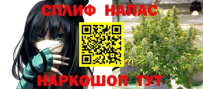 прущие крисы Дубна