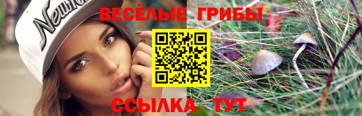 Галлюциногенные грибы прущие грибы  Вход с VPN  Мелеуз 
