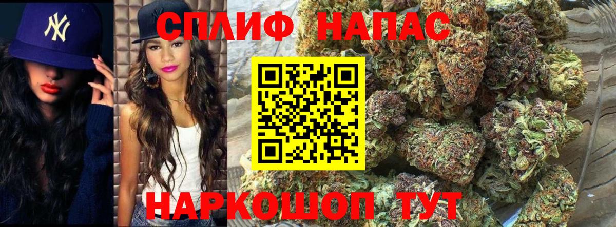 Псилоцибиновые грибы Мелеуз